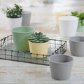 Orsa Pot - Sprouts of Bristol