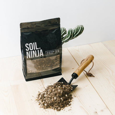 Premium Cacti and Succulent Soil Mix - Sprouts of Bristol
