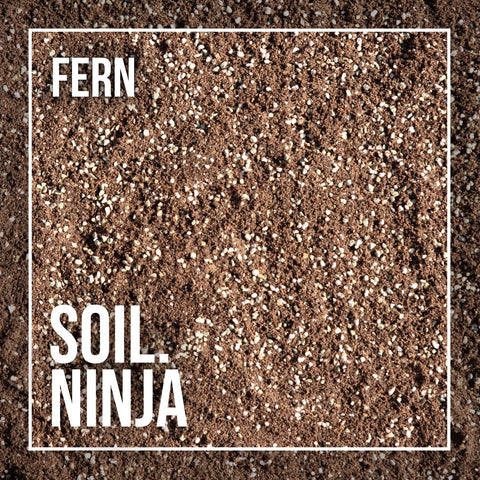 Premium Fern Soil Mix - Sprouts of Bristol