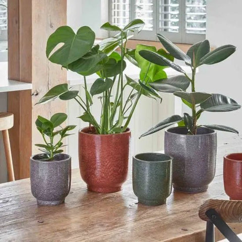 Reactive Glaze Burnt Orange Planter - Sprouts of Bristol