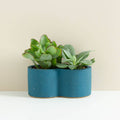Rowan Double Planter - Sprouts of Bristol