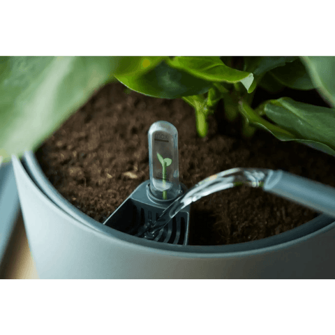 Self-Watering Insert - Sprouts of Bristol