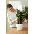 Self-Watering Insert - Sprouts of Bristol