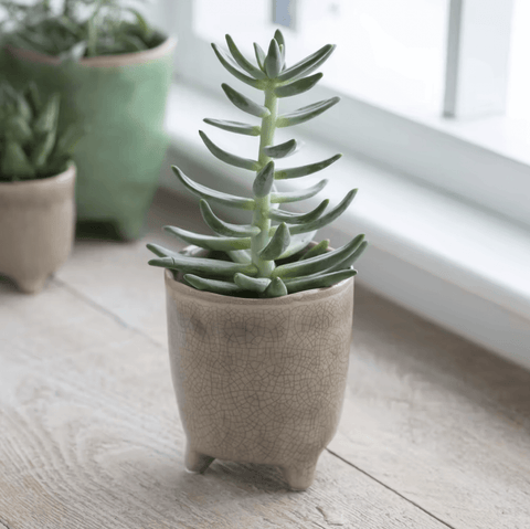 Stone Positano Pot - Sprouts of Bristol