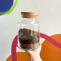 Terrarium DIY Kit [Make Your Own Terrarium with Optional Extras] Plastic Free Packaging! - Sprouts of Bristol