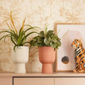 Vibes Fold Coupe Pot - Sprouts of Bristol