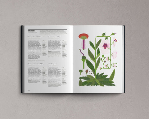 What Gardeners Grow: 600 Plants Chosen by the World's Greatest Plantspeople - Sprouts of Bristol
