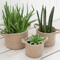 Woven Plant Pots - Sprouts of Bristol